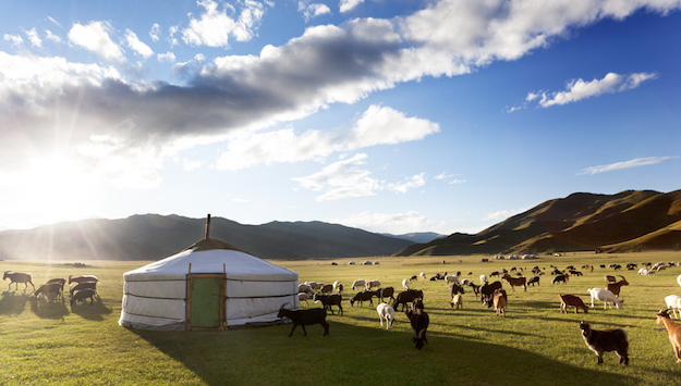 Mongolian ger yurt Orkhon Valley Mongolia