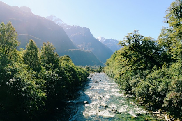 Hollyford Track New Zealand Fiordland