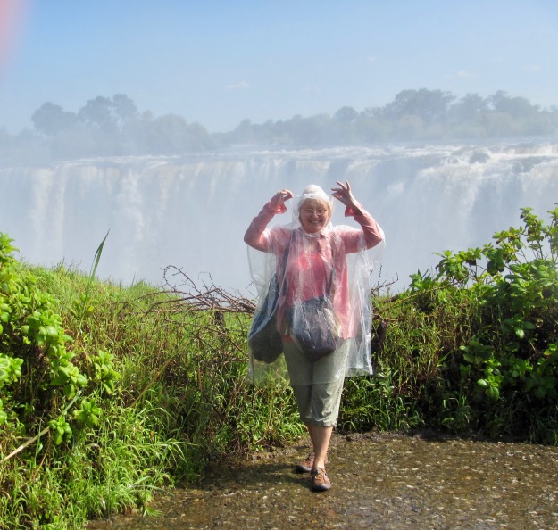 Mist at Victoria Falls