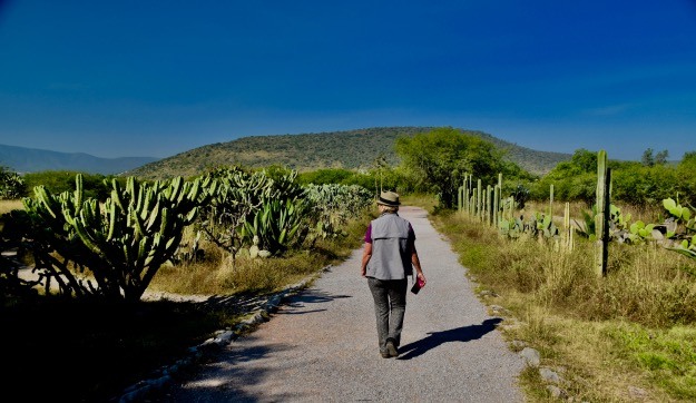 Tula Mexico walk