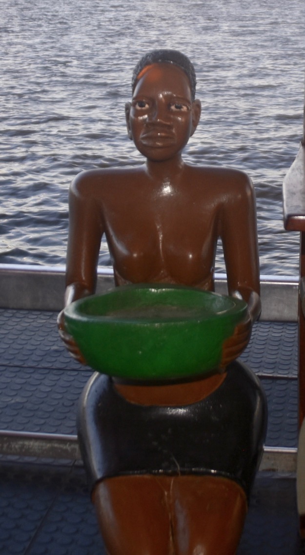 Zambezi River cruise tip jar