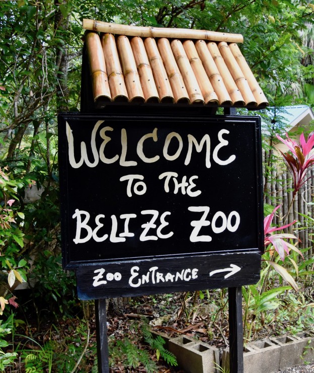 Belize Zoo & The Last Day