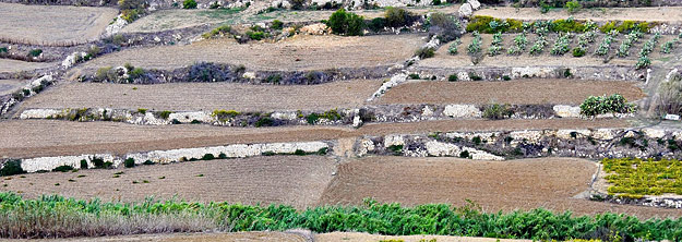 Fields from Mdina Showing Rubble Walls
