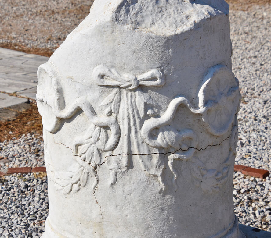 Symbol of Asclepias