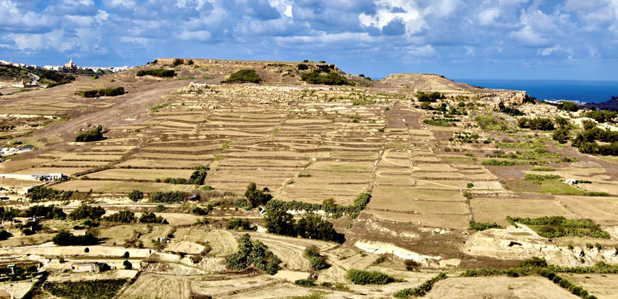 Fields of Gozo