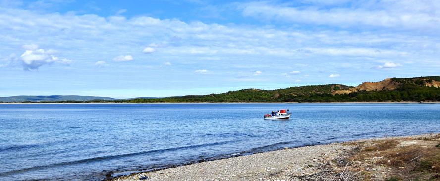 Beach at Anzac Cove. Gallipoli – A WWI Tragedy Revisited