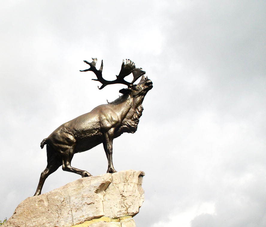 Beaumont Hamel Caribou. Gallipoli – A WWI Tragedy Revisited