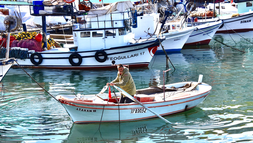 Manning the Oars, Gelibolu. Gallipoli – A WWI Tragedy Revisited