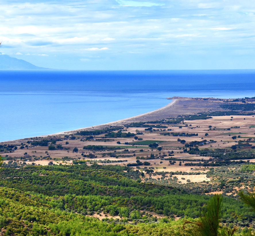 New Zealanders Climbed from There to Here. Gallipoli – A WWI Tragedy Revisited