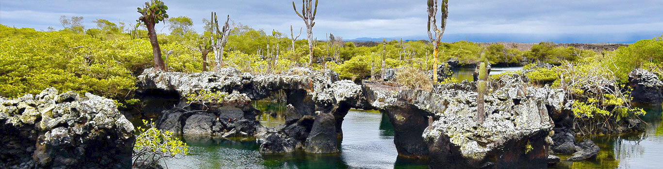 Exploring Isabela - A Natural Wonderland