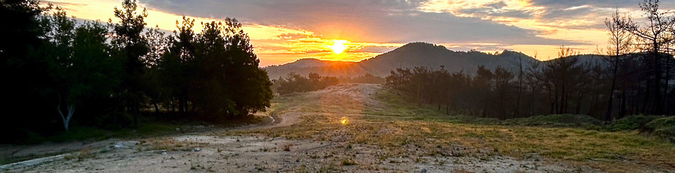 Dadia National Park