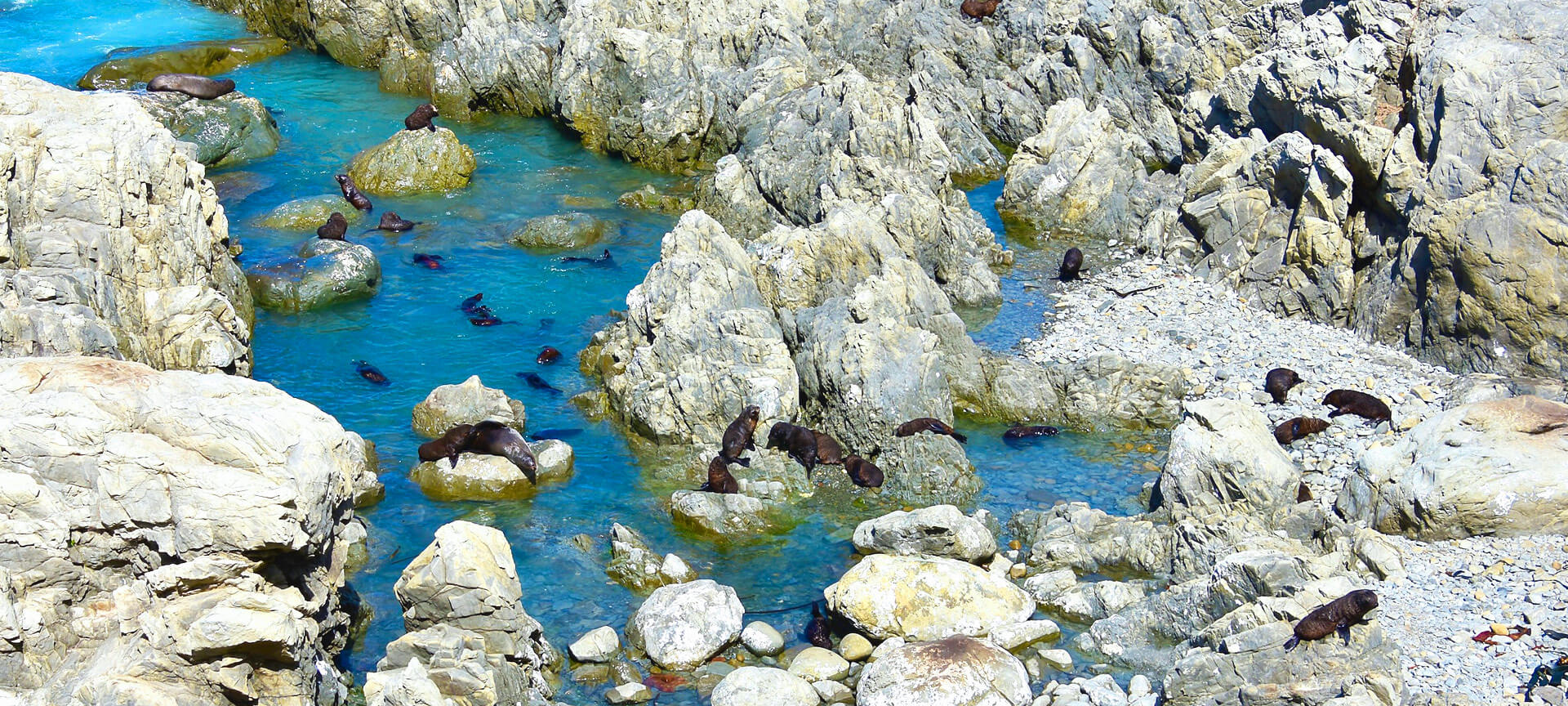 South Island New Zealand with Adventures Abroad