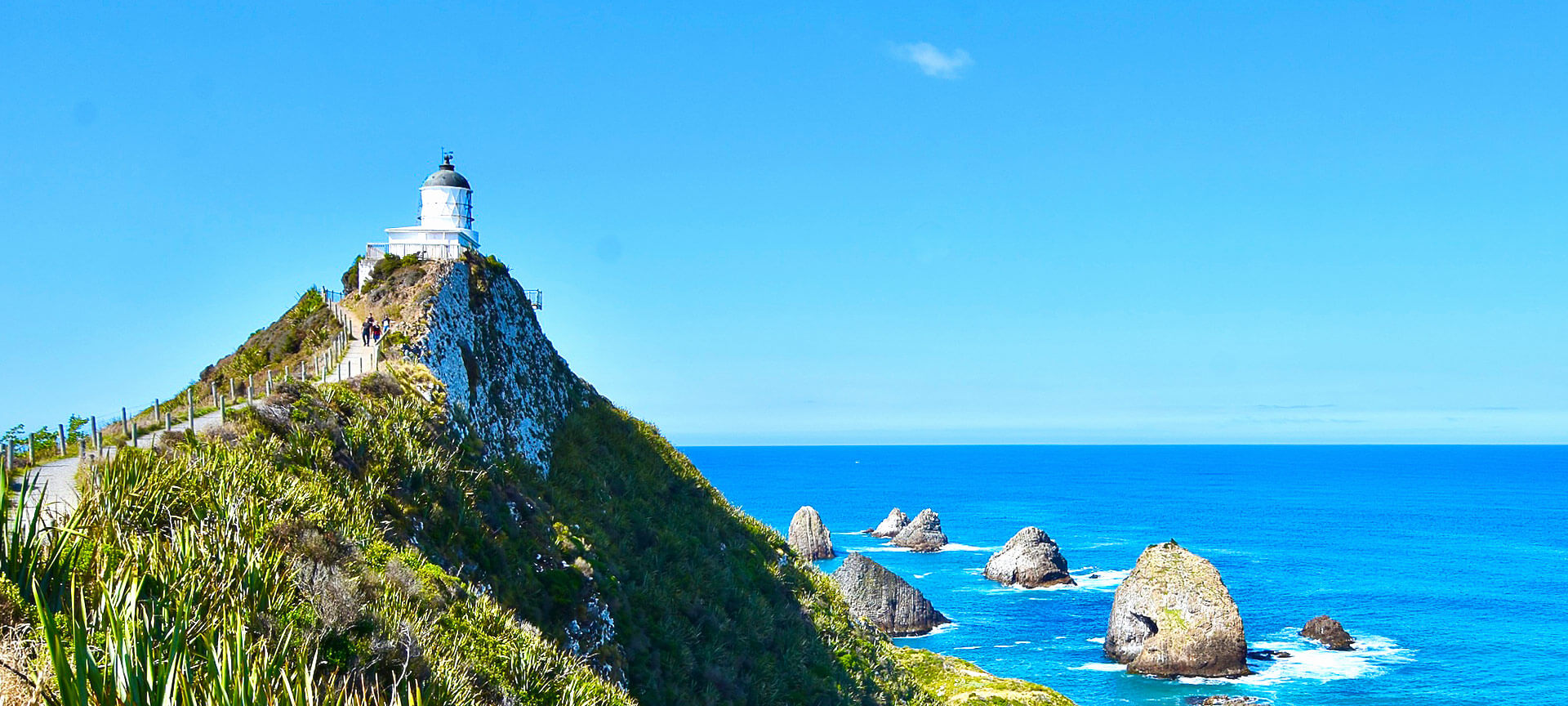 Dunedin And Nugget Point