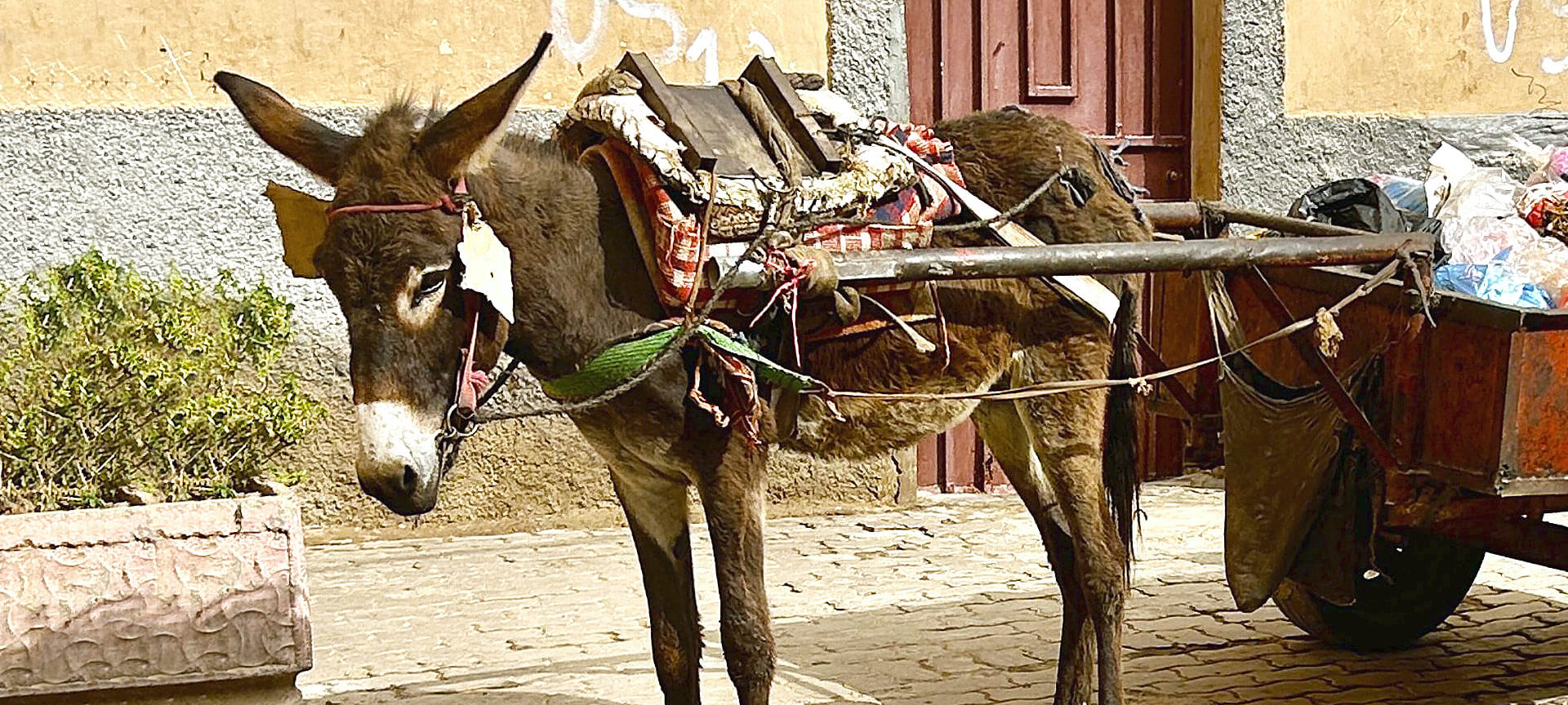 Taroudannt, A Medina Without Tourists