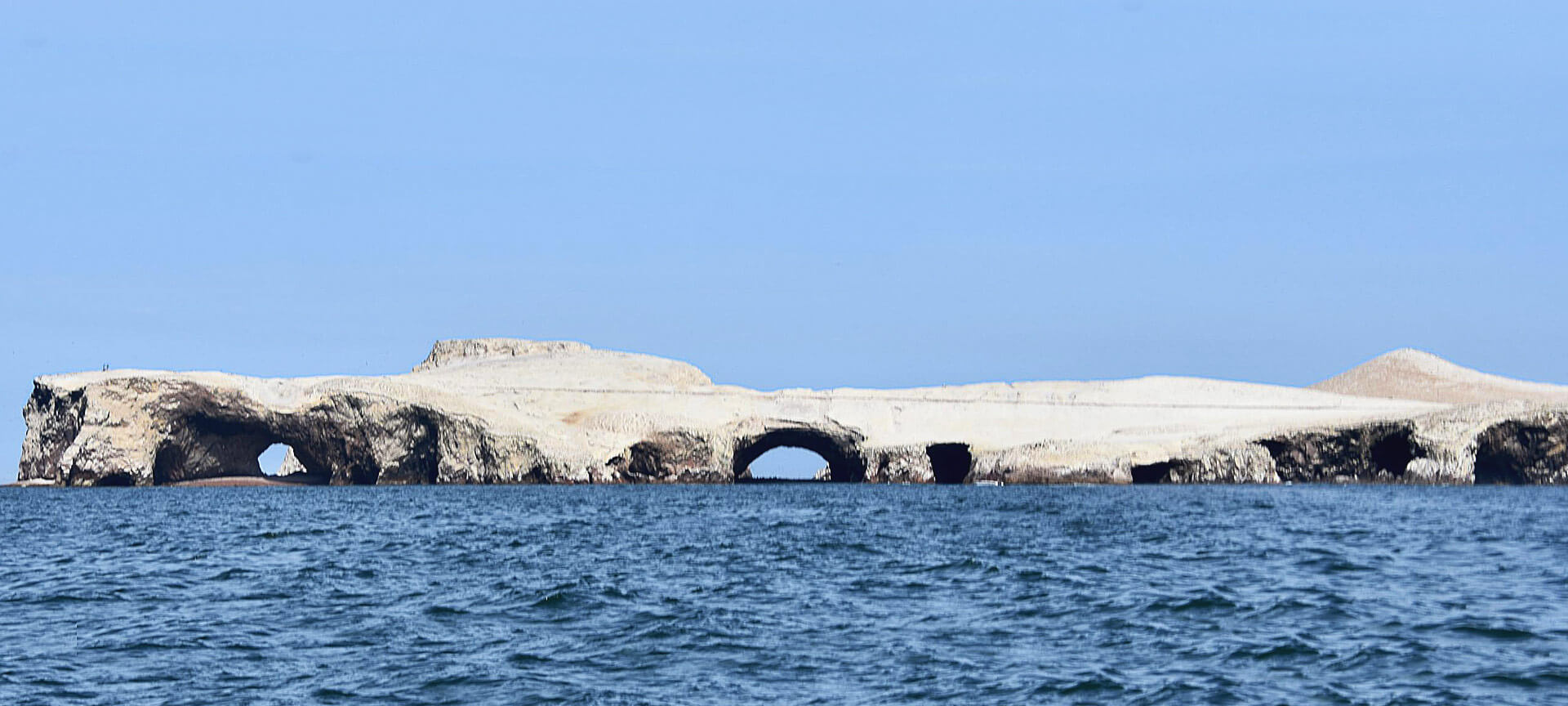 Ballestas Islands - Peru’s Offshore Birding Paradise