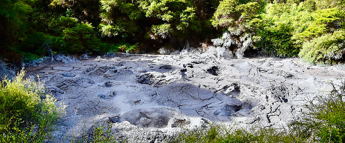 Steaming Mud Pots