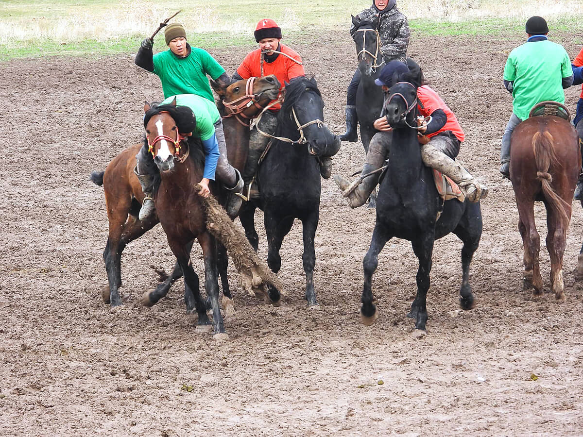 The Pack. Photo by Brendan Powell.