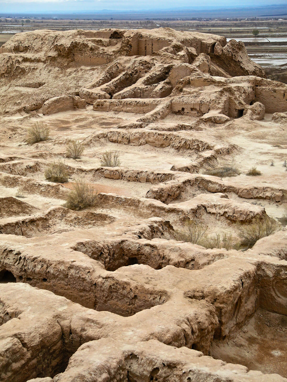 Toprak-Kala. Photo by Jonathan Hodgson.