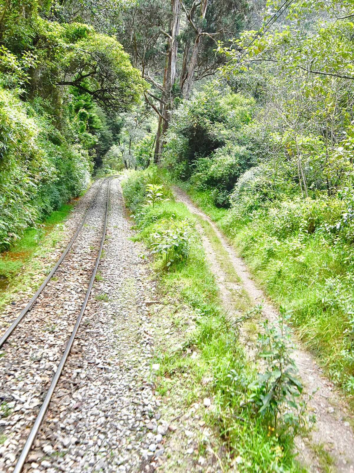 Alongside the Inca Trail