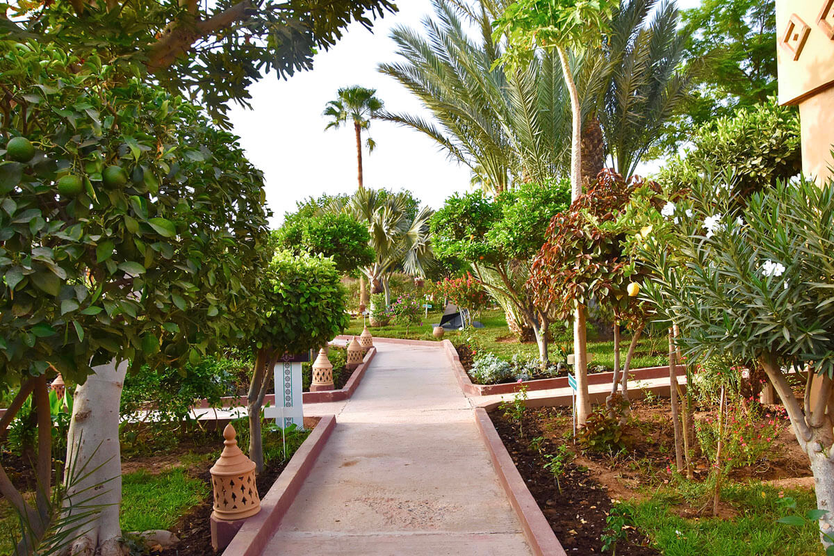 Grounds