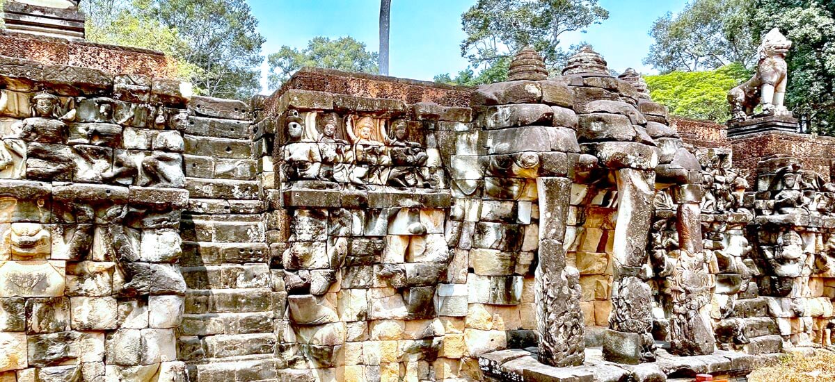 Elephants at Elephant Terrace