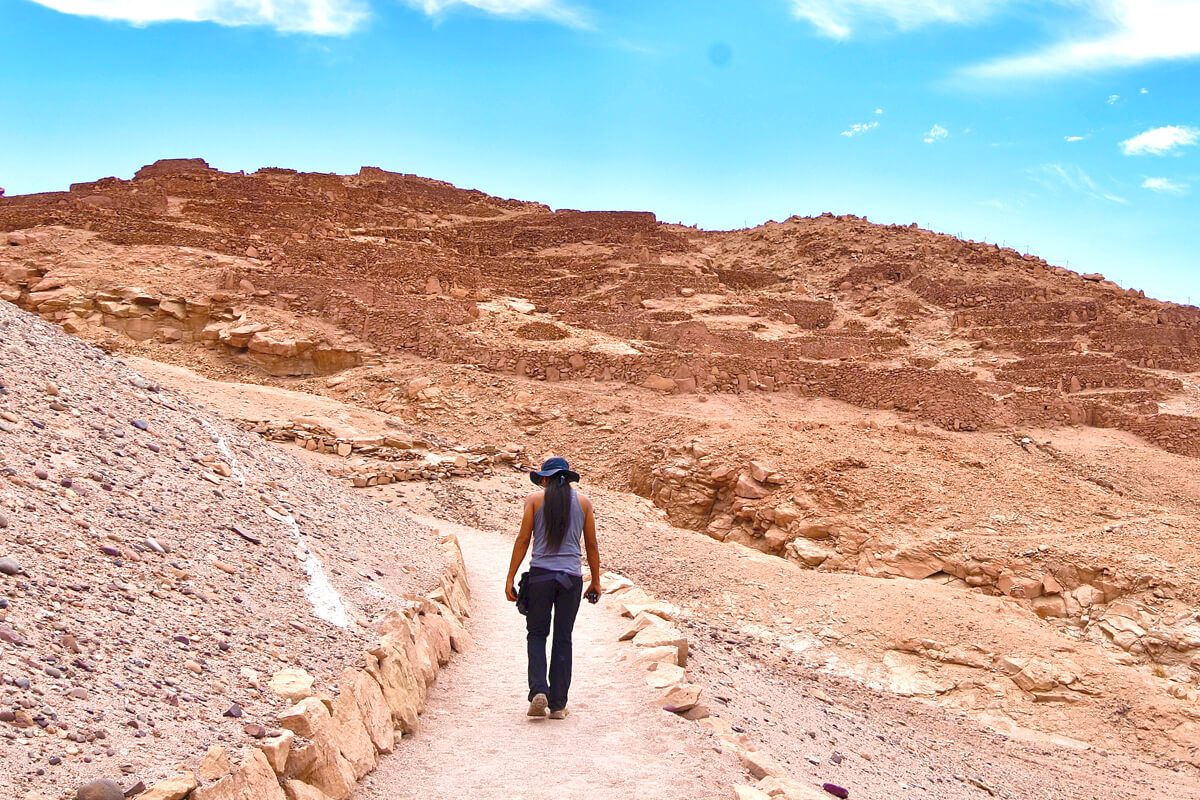 Valentin Leads the Way