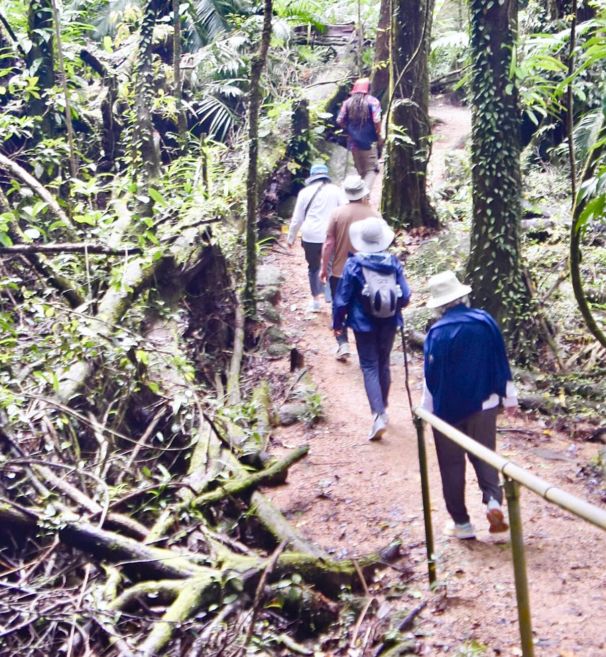 Mossman Gorge, Wet Tropics of Queensland WHS