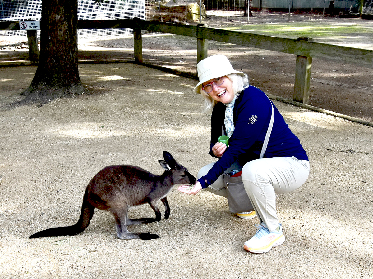Alison Feeding a Wallaby at Featherdale