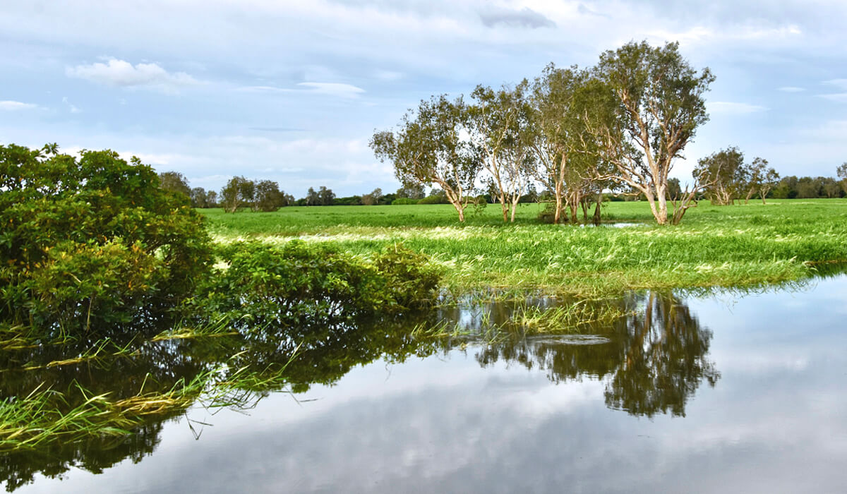 Alligator River