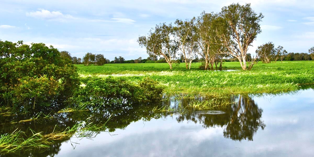 On the Alligator River