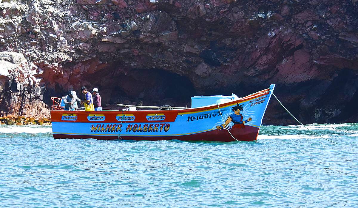 Local Fishing Boat