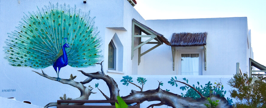 Peacock Mural, Manastir Hotel. Bodrum.