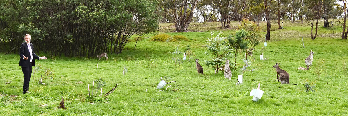 Michael, the Kangaroo Whisperer