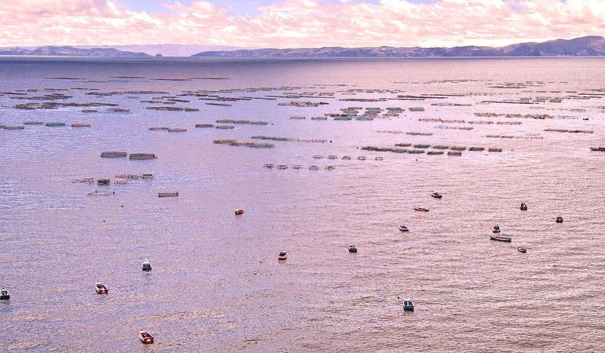 Lake Titicaca Aquaculture