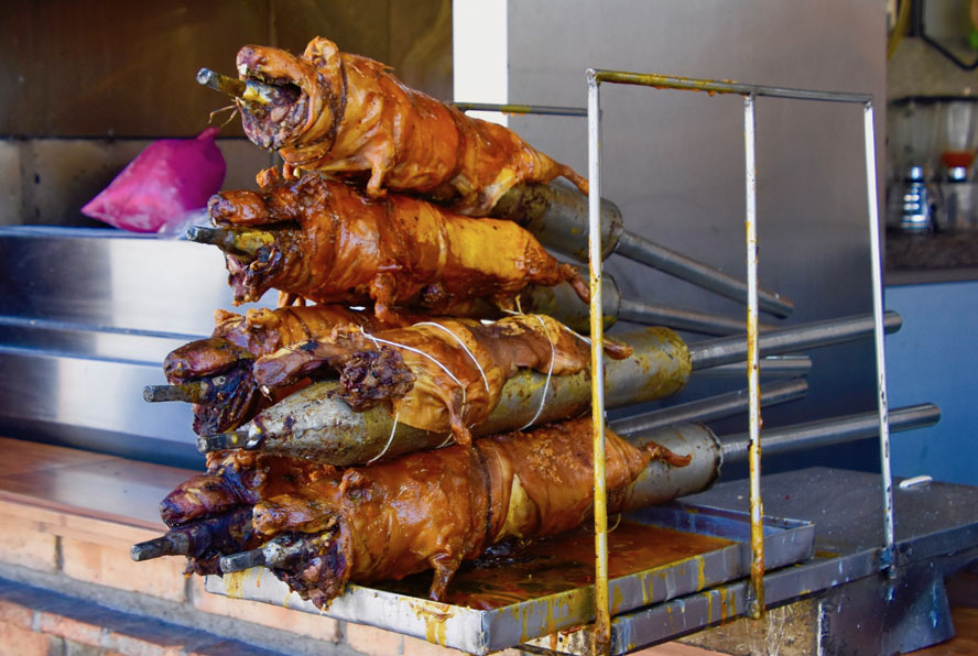 Guinea Pigs for Sale