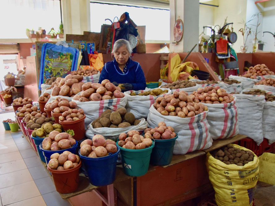 Potato Vendor