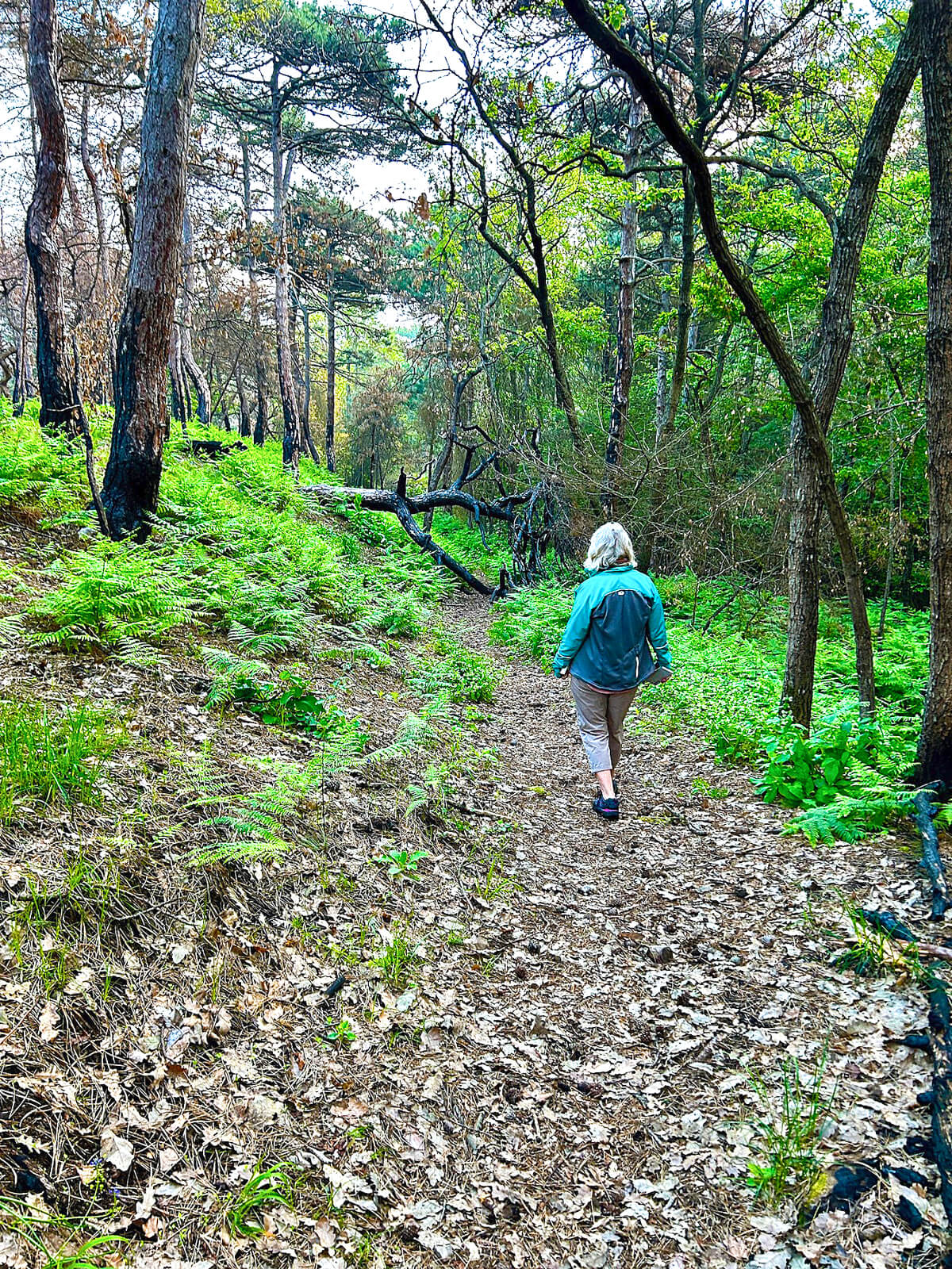 Alison on the Morning Walk