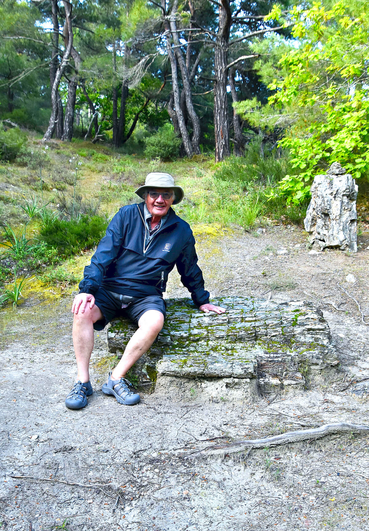 Sitting on a Petrified Tree
