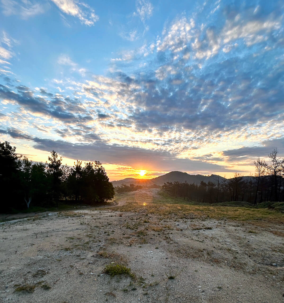 Sunrise in Dadia National Park