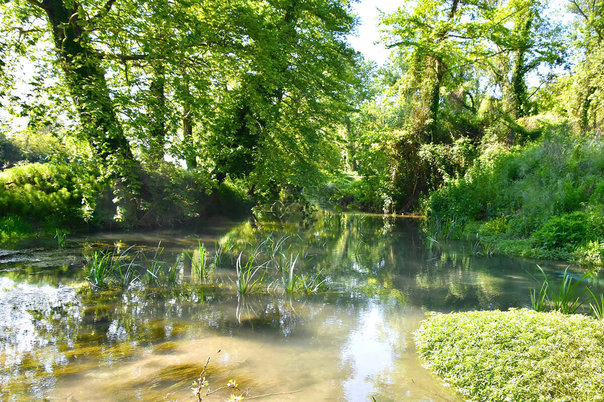 River Vaphyras where Orpheus was Slain