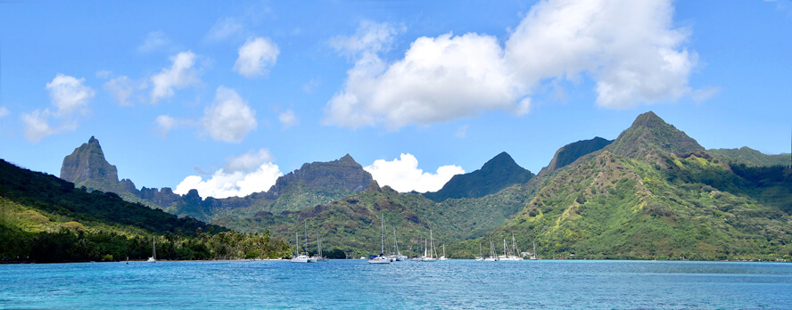 Sailing Boats in Cook’s Bay