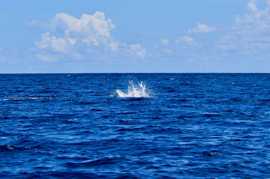 Nothing but Splashes