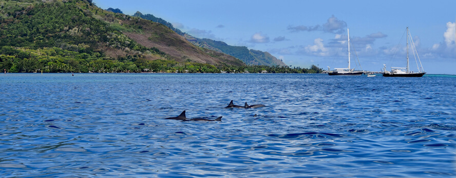 The First Group Moves Away