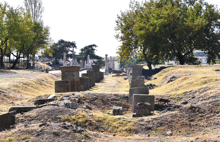 Doric Processional Way. Galen and the Asclepeion of Pergamon.