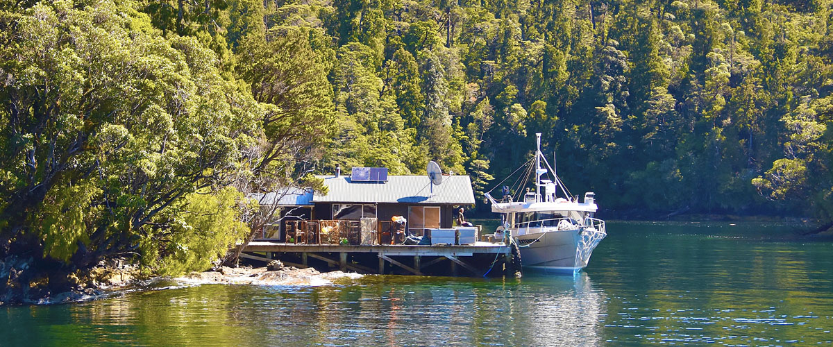 Crayfish Operation inside the Park