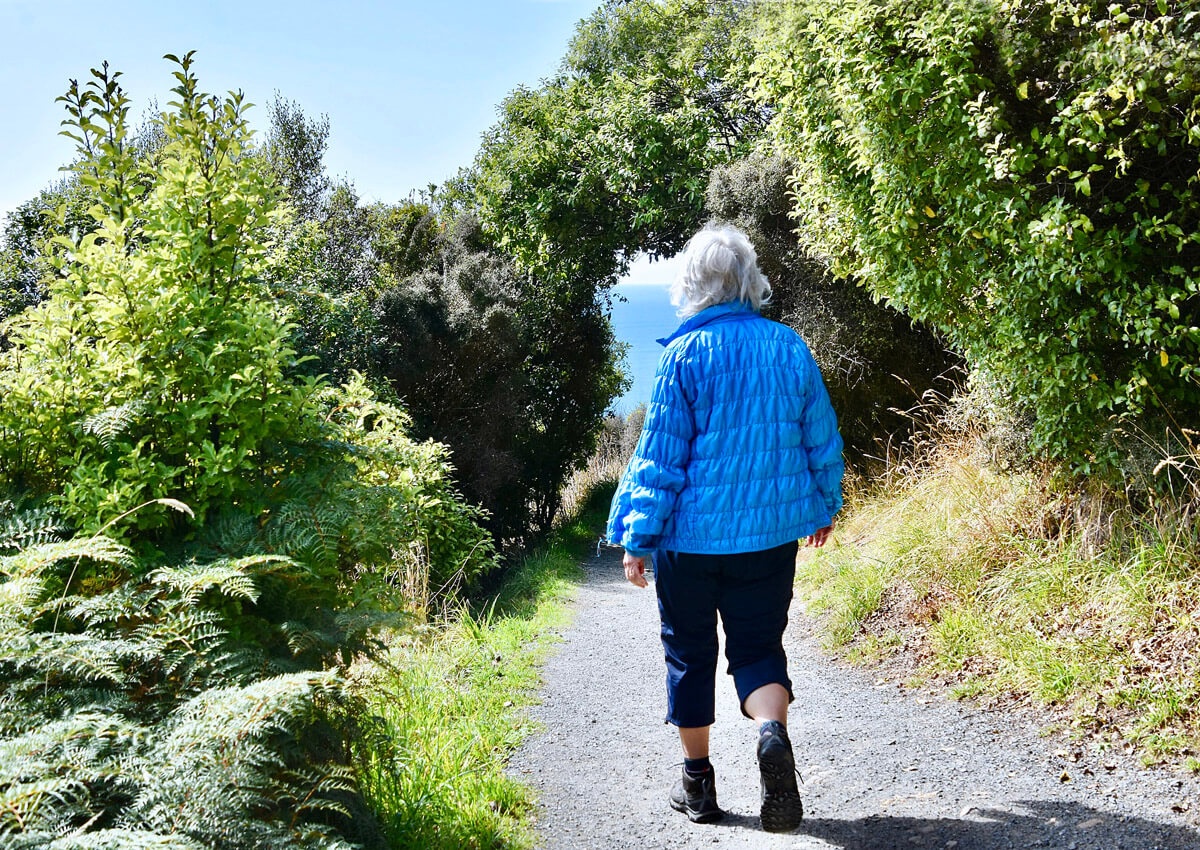 On the Way to Nugget Point