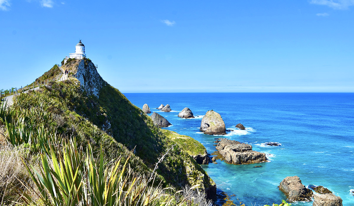 Lighthouse & Nuggets