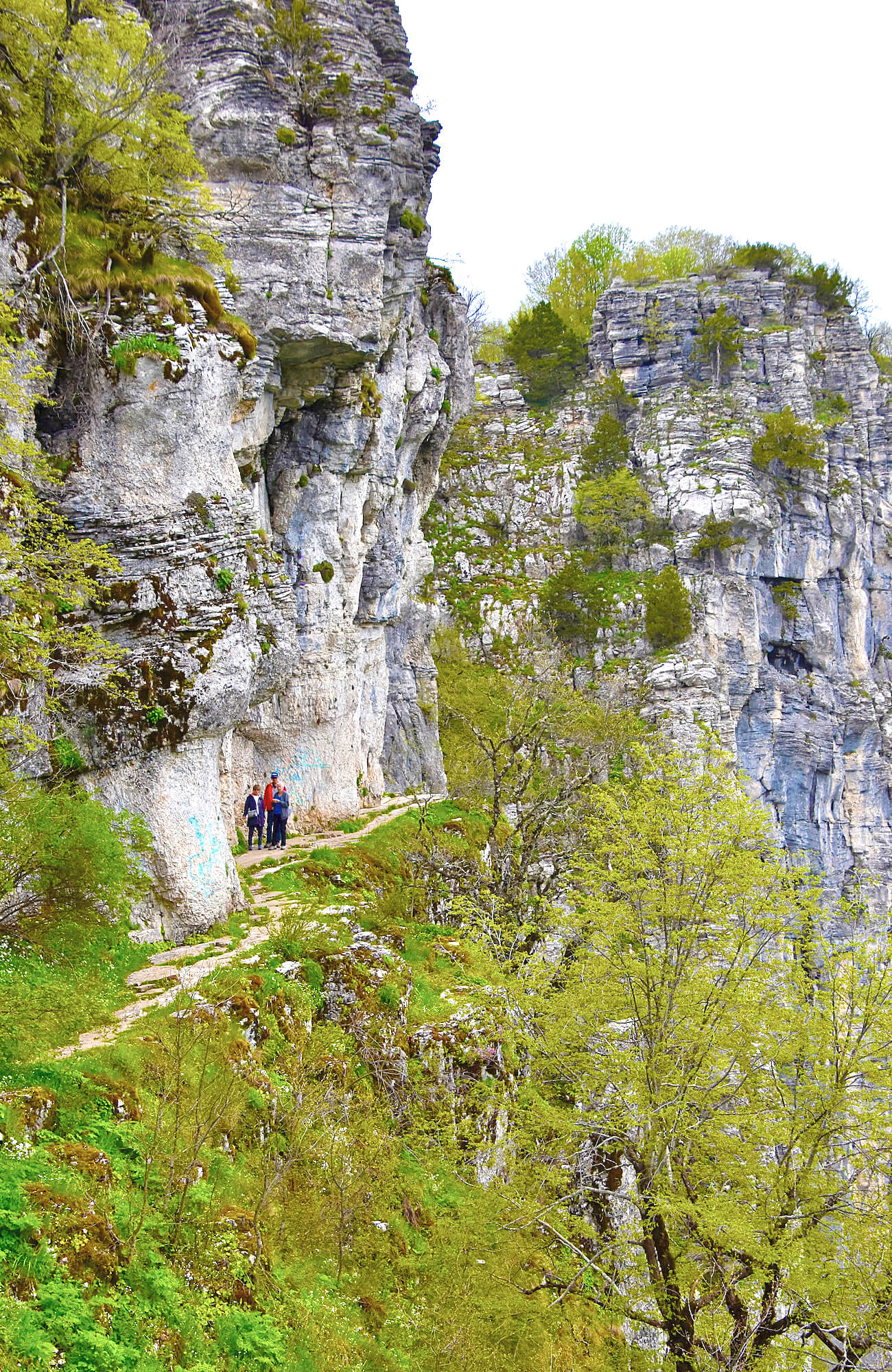 The Path at Vikos Gorge