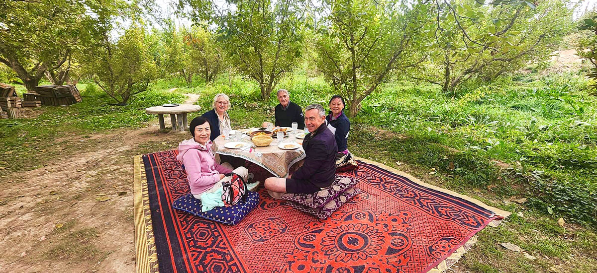 Lunch in an Apple Orchard