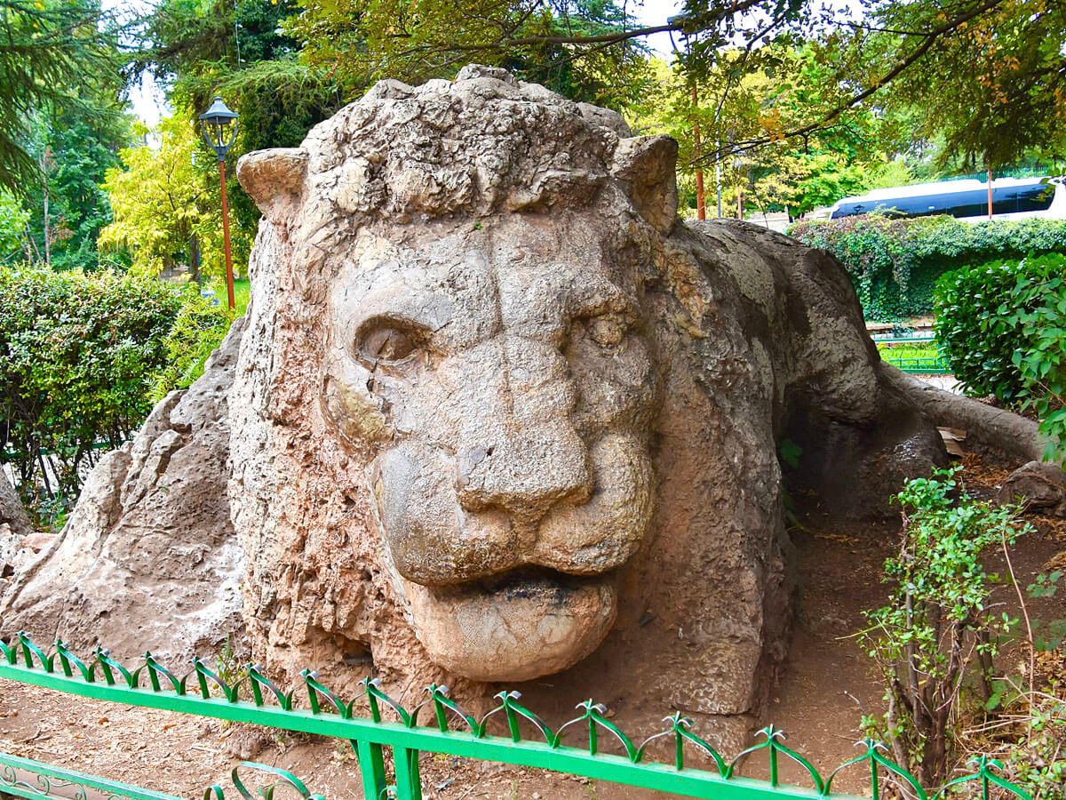 The Lion of Ifrane